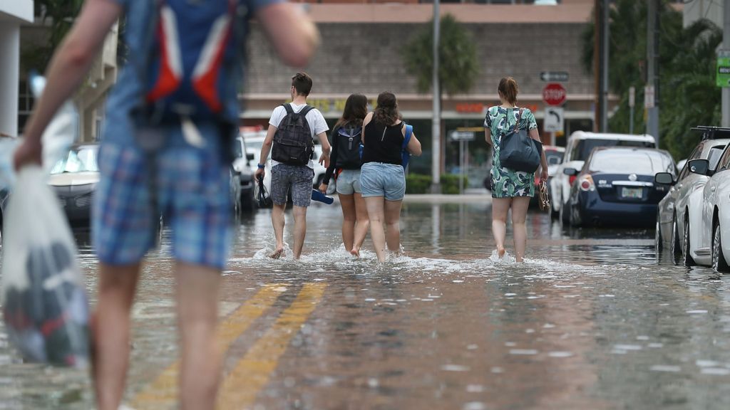 Billion people face global flooding risk by 2060, charity warns - BBC News