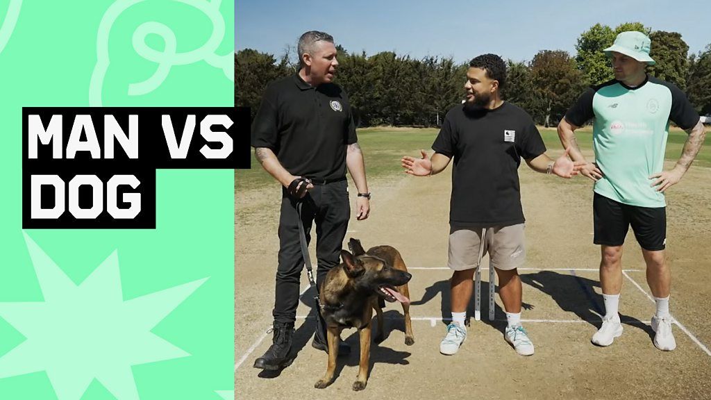 The Hundred: Oval Invincible's Jason Roy takes on dog in fielding challenge