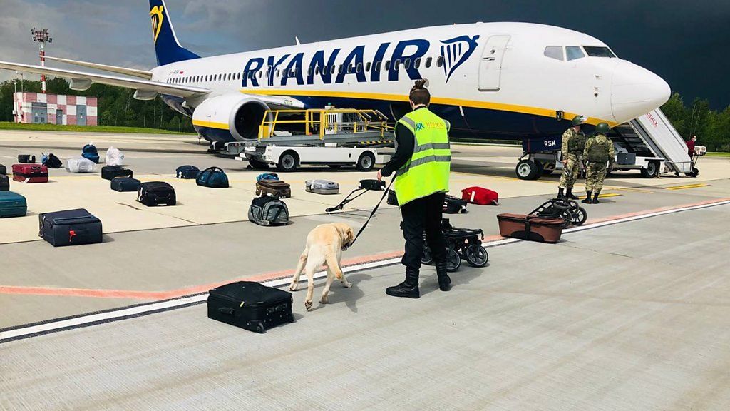 A sniffer dog checking luggage by the Ryanair plane