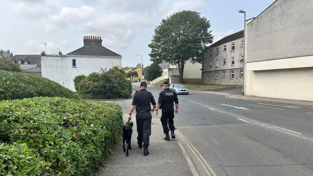 Two police officers and a police dog walking along St Austell Street