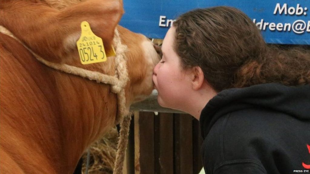 Thousands enjoy Balmoral Show first day
