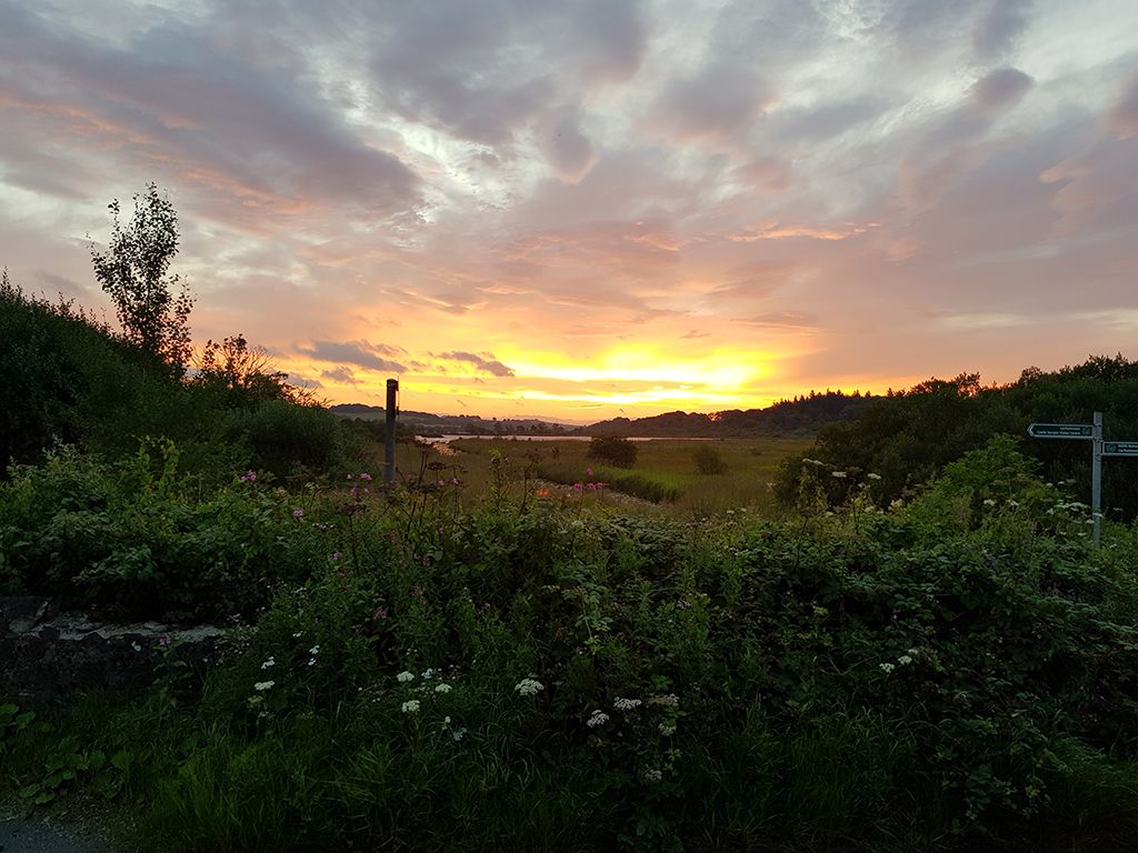 Lochwinnoch RSPB Reserve