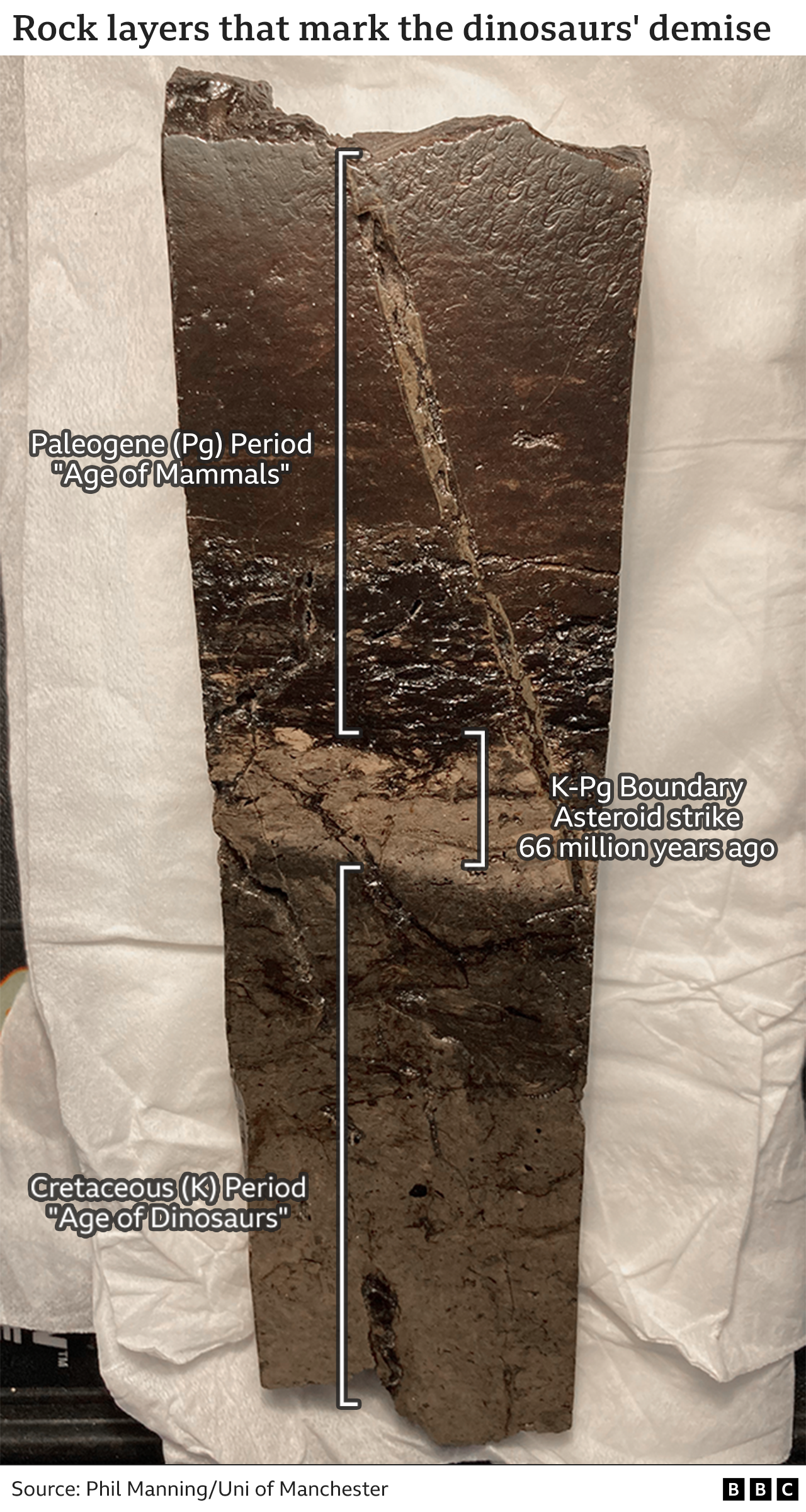 K-Pg boundary rock layers (Tanis)