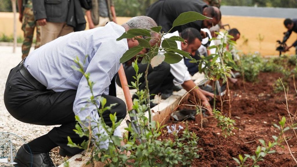 Ethiopia 'breaks' tree-planting record to tackle climate change ...