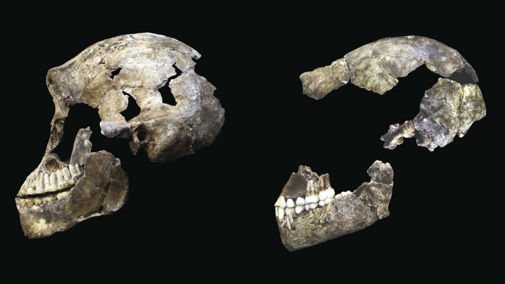 Amazing haul of ancient human finds unveiled