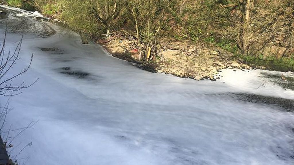 River Irwell pollution 'massive setback' for wildlife