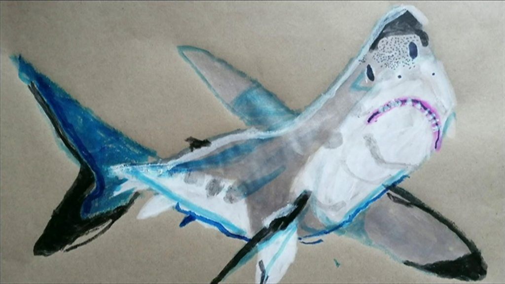 Swansea teen lockdown artist offered thousands for work - BBC News