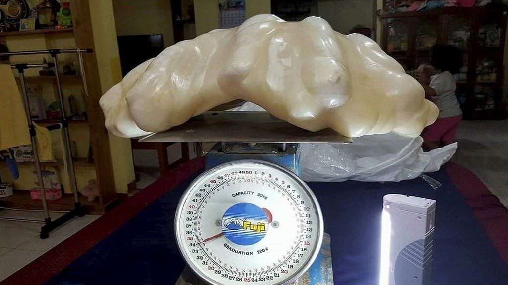 The giant pearl is said to weigh 34kg (74lbs)