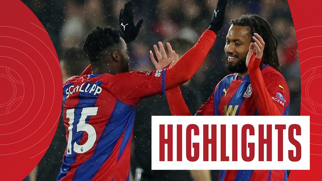 FA Cup Highlights: Crystal Palace 2-1 Stoke