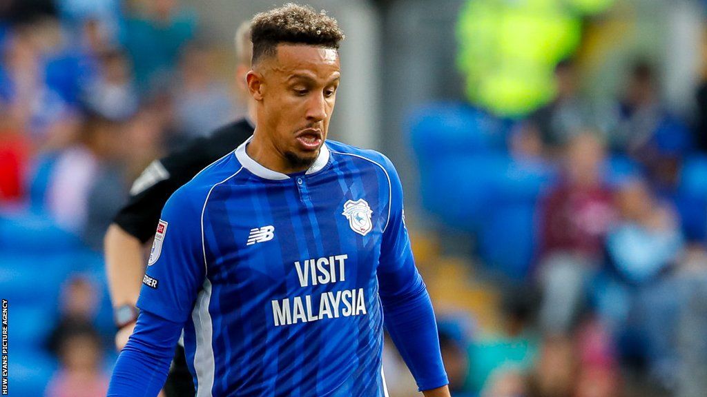 Erol Bulut: Cardiff City boss lays down challenge to Callum Robinson ...