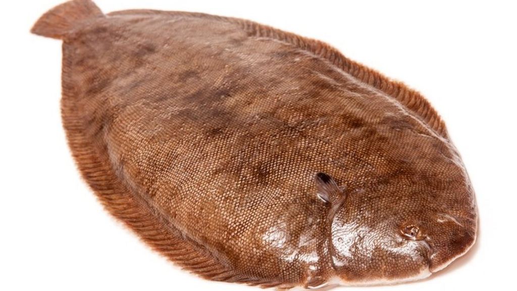 Dover sole 'jumps' down angler's throat