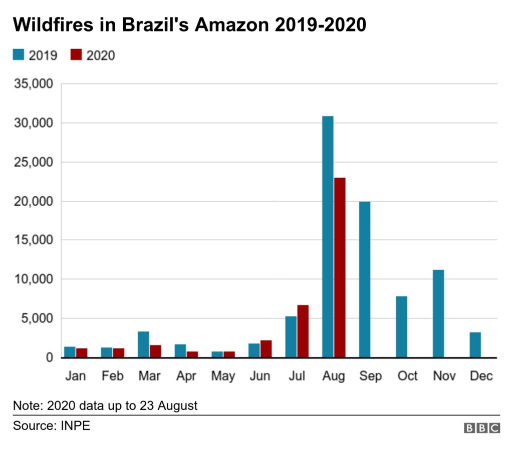 Bar chart showing fires in Brazil up to 23 August
