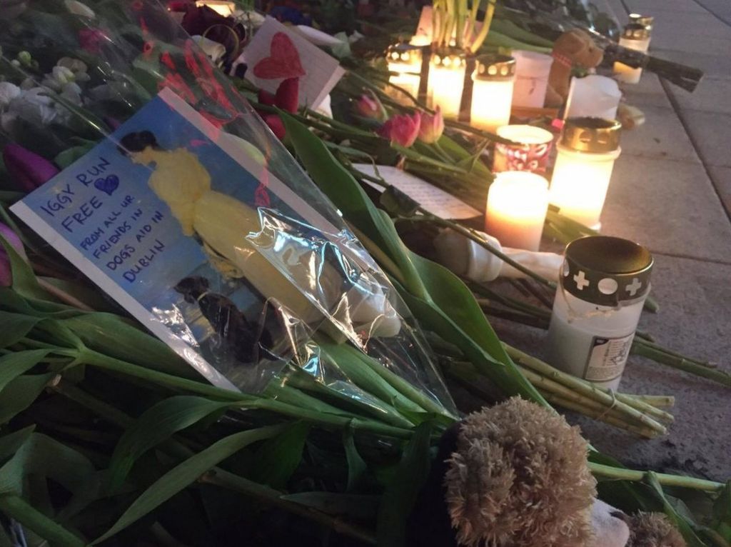Image of flowers and card left at site where Iggy was killed in Stockholm