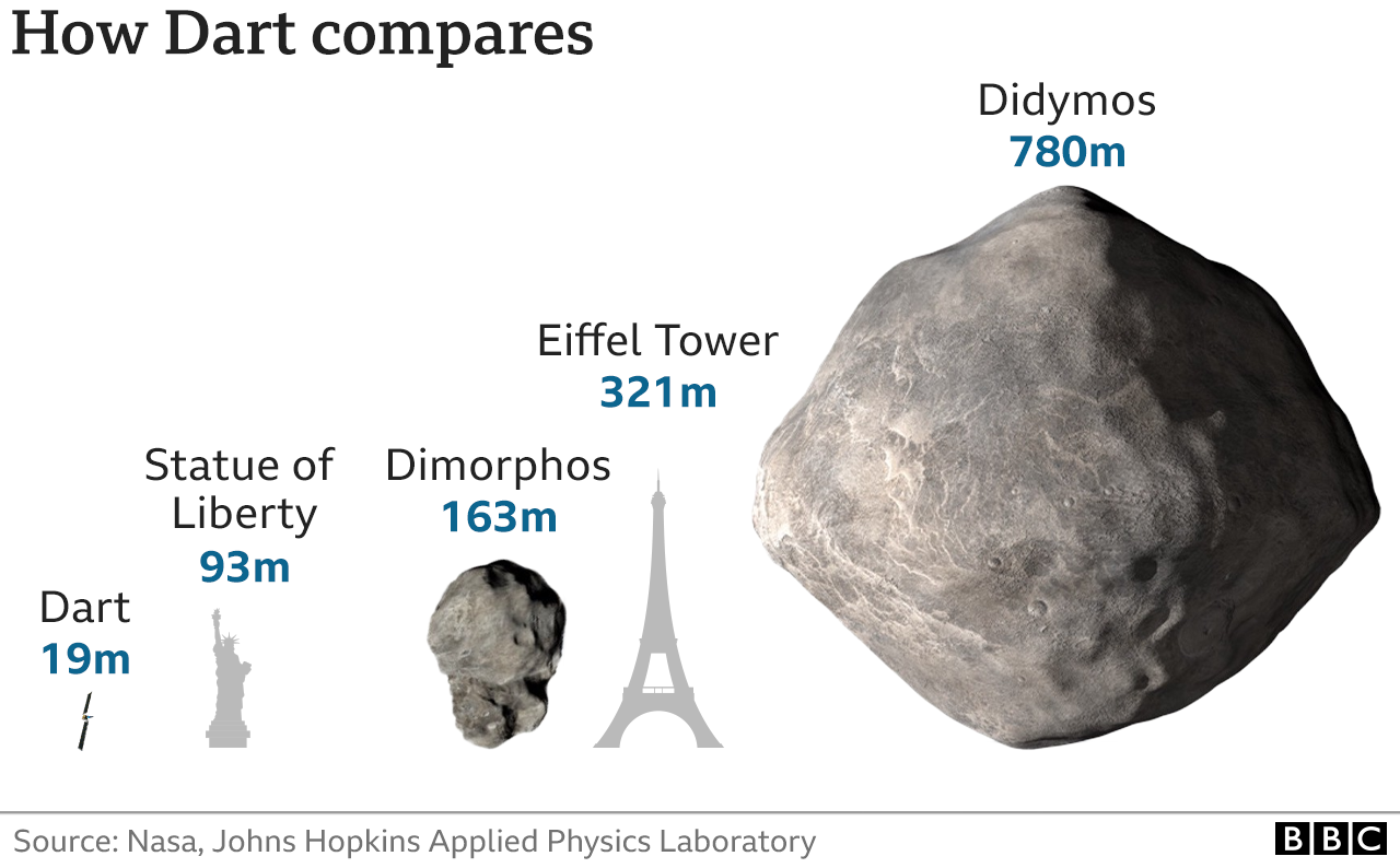 Infographic