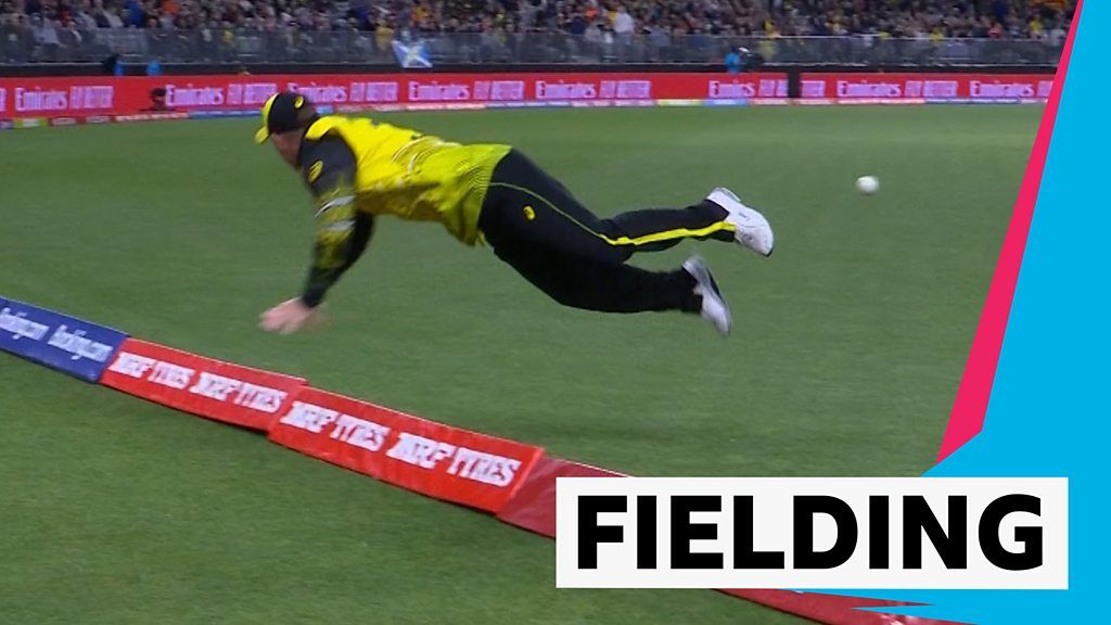 T20 World Cup: David Warner dives over the boundary to save two runs