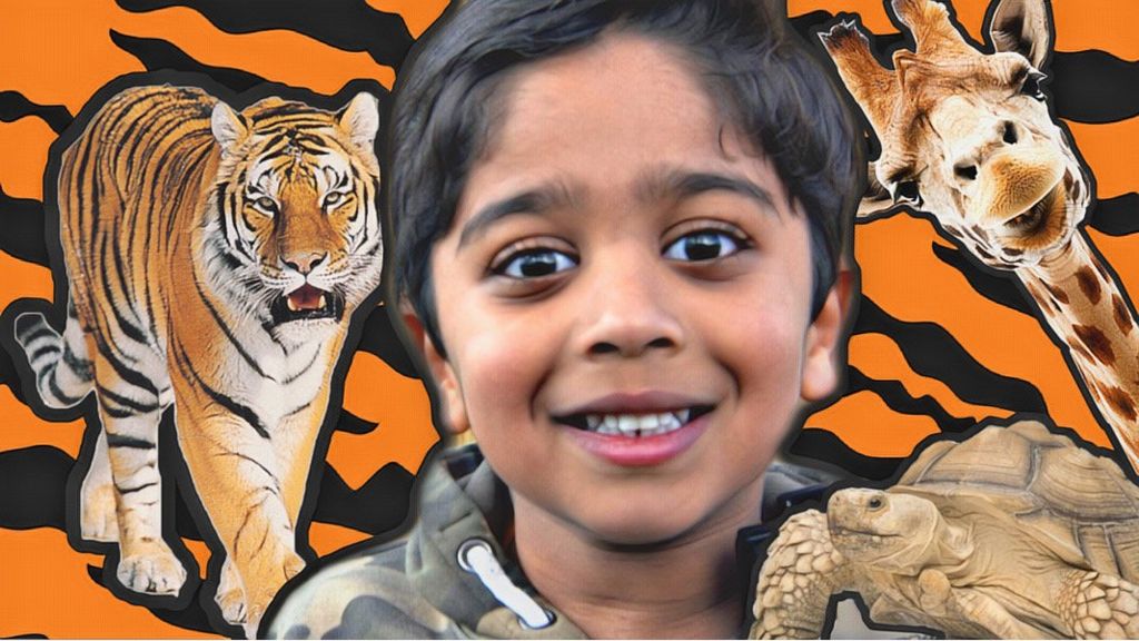 Six-year-old Aneeshwar wit a tiger giraffe and tortoise.