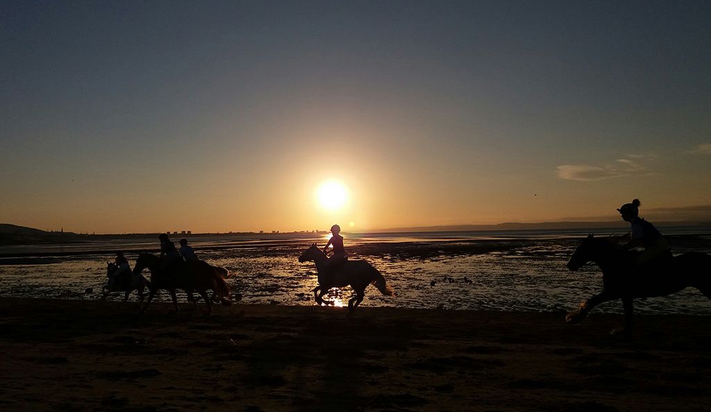 Horses on Musselburgh beach