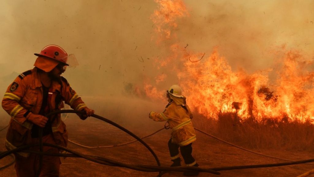 Australian Bush Fires Royal Botanic Gardens Storing Seeds Bbc News