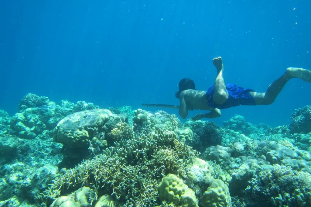 Bajau diver hunting fish underwater using a traditional wooden spear and wooden goggles