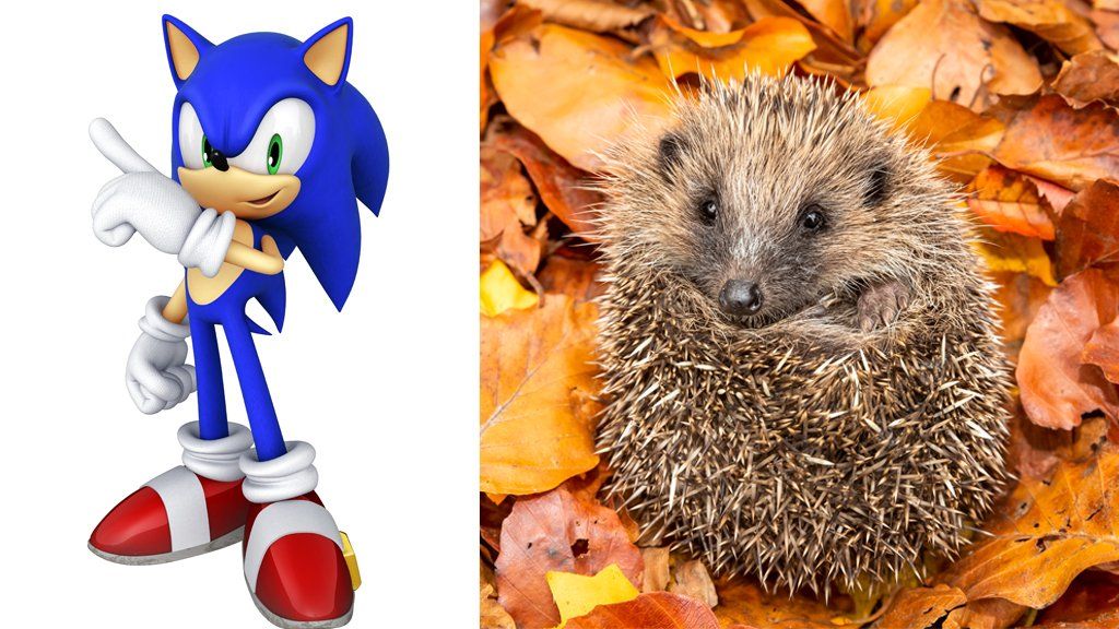 Is Tails a Boy or Girl in 'Sonic the Hedgehog 2?