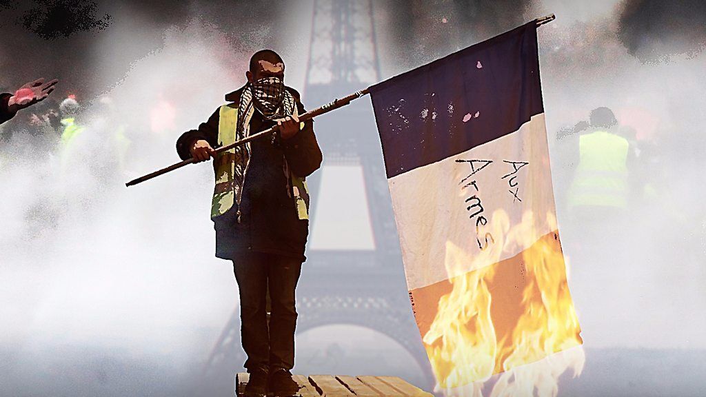 French protester