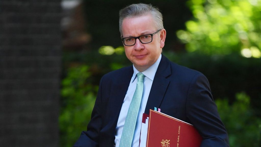 Brexit 'will enhance' UK wildlife laws - Gove