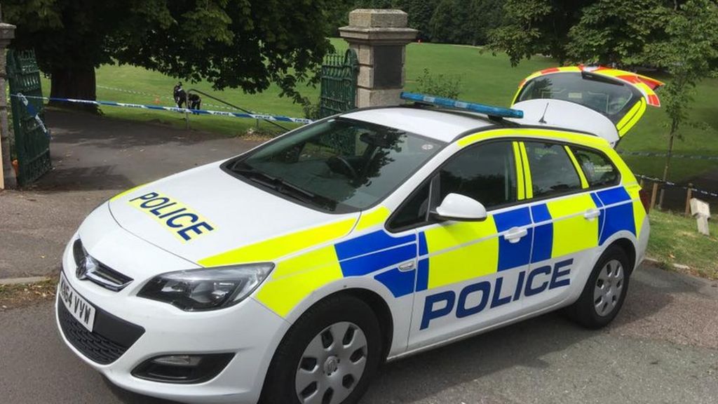 Girl, 15, dies in Newton Abbot after 'legal high reaction'