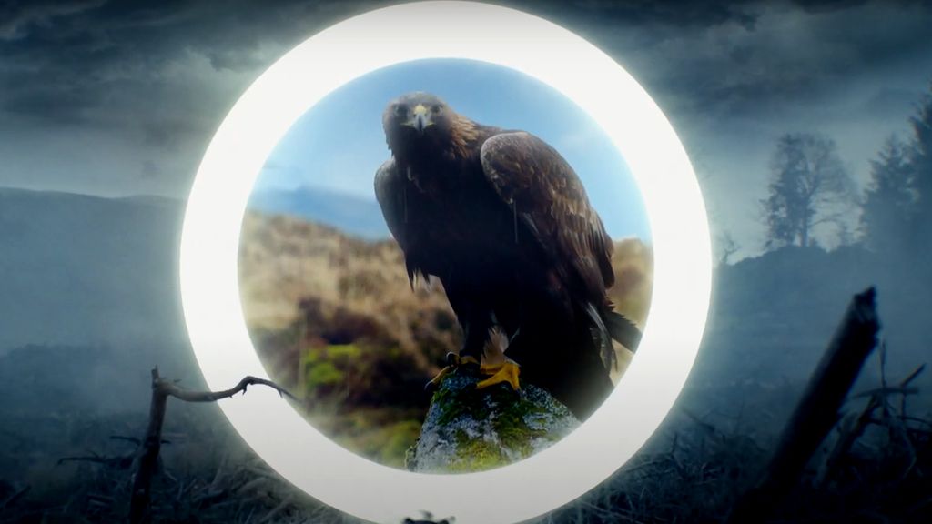 Eagle still from climate video