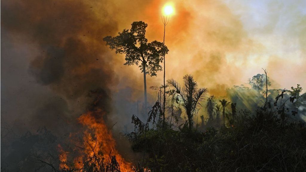 A fire in the Amazon