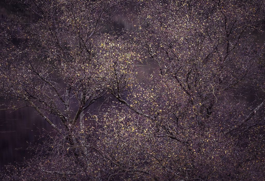 Left - by Lee Acaster