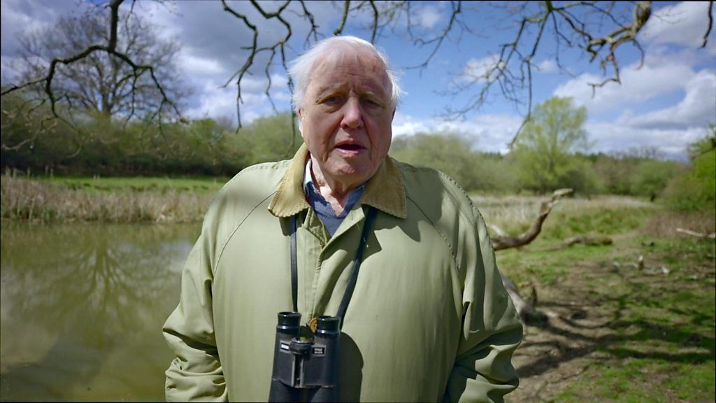 COP26: Sir David Attenborough Will Be 'people's Advocate' - BBC Newsround