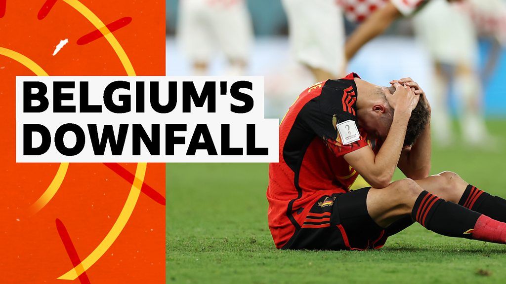 Reliance on experienced players cost Belgium - Shearer