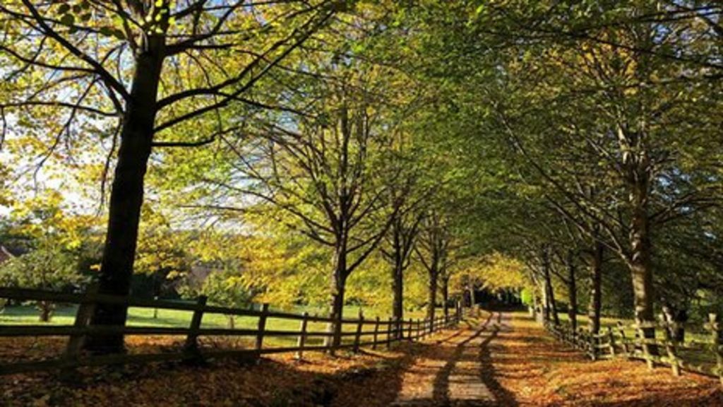 weather-for-the-week-ahead-bbc-weather