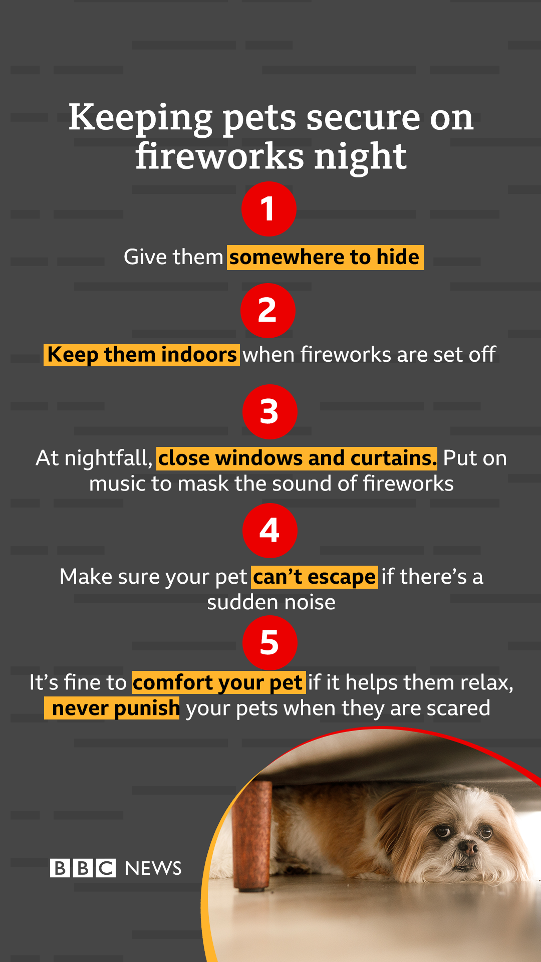 Graphic showing how to comfort pets during fireworks