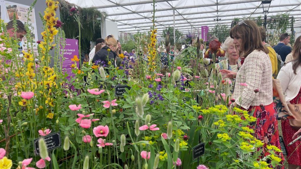 Plant Fairs Roadshow display at Chelsea Flower Show 2023