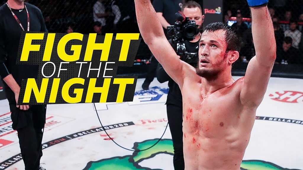 Nurmagomedov wins lightweight title at Bellator 288