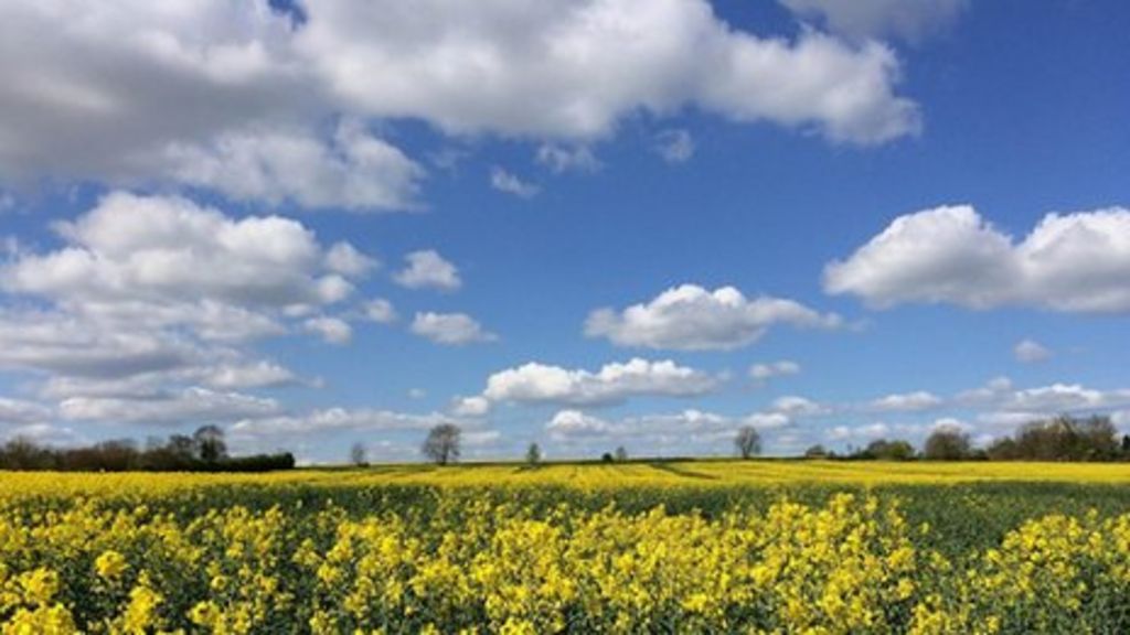 Weather For The Week Ahead BBC Weather weather-for-the-week-ahead-bbc-weather