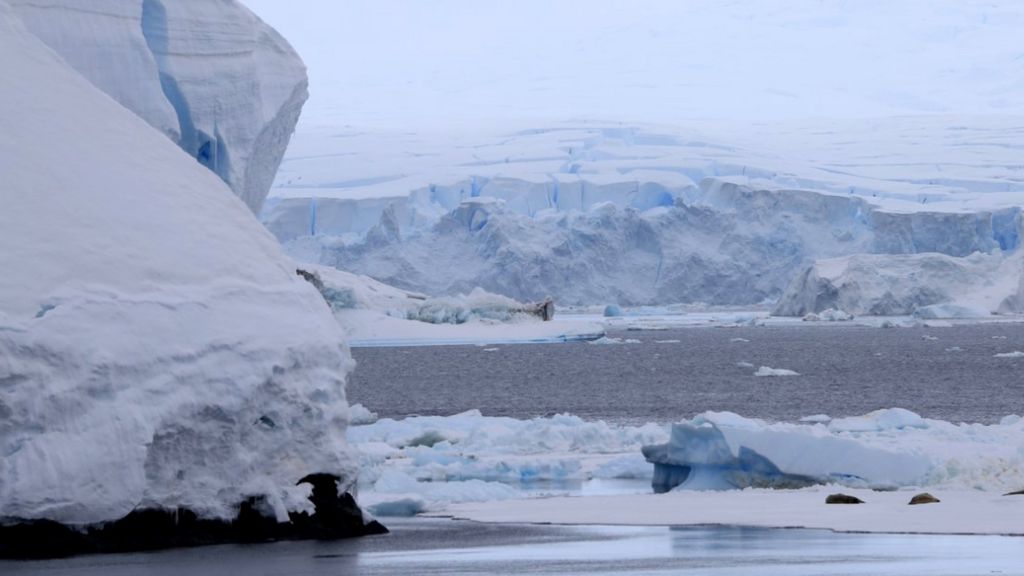 Nasa forecast: Which cities will flood as ice melts? - BBC News