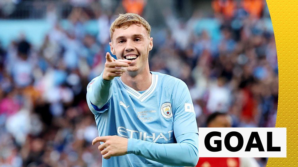 Palmer scores 'sublime' opening goal in Community Shield