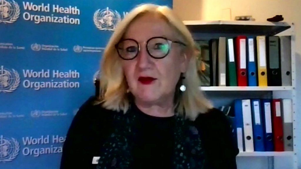 Dr Margaret Harris, World Health Organizations spokesperson