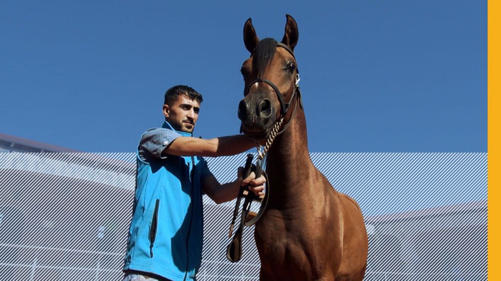 Ashraf and horse