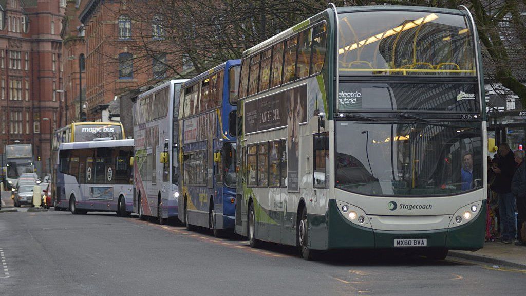 A picture of buses