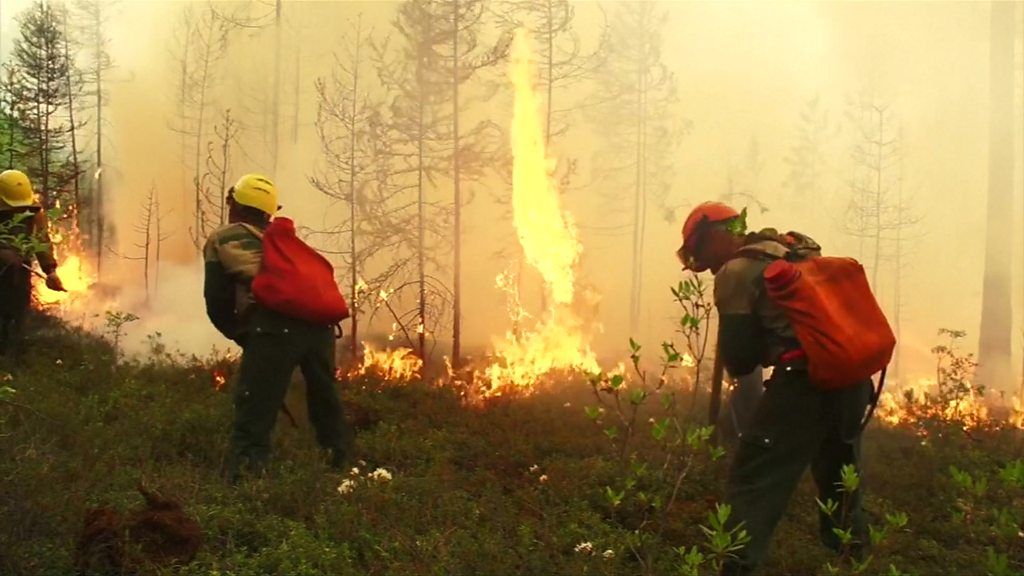 Firefighters tackle Siberian fires