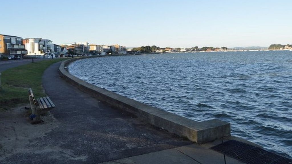 'Seaweed build-up' causing Poole Harbour stink
