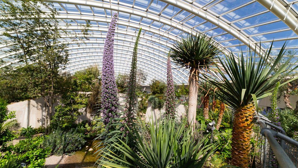 Botanic Gardens of Wales