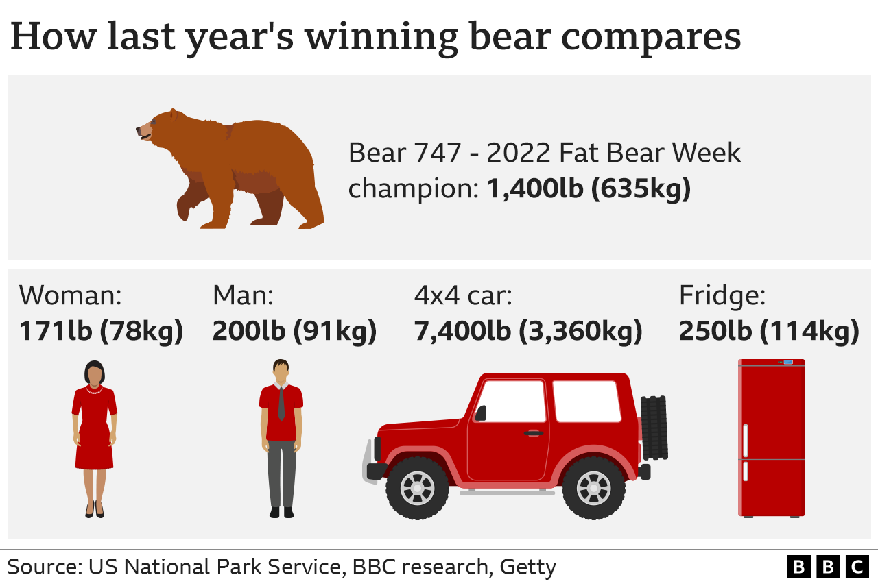 График, показывающий вес медведя по сравнению с весом человека
