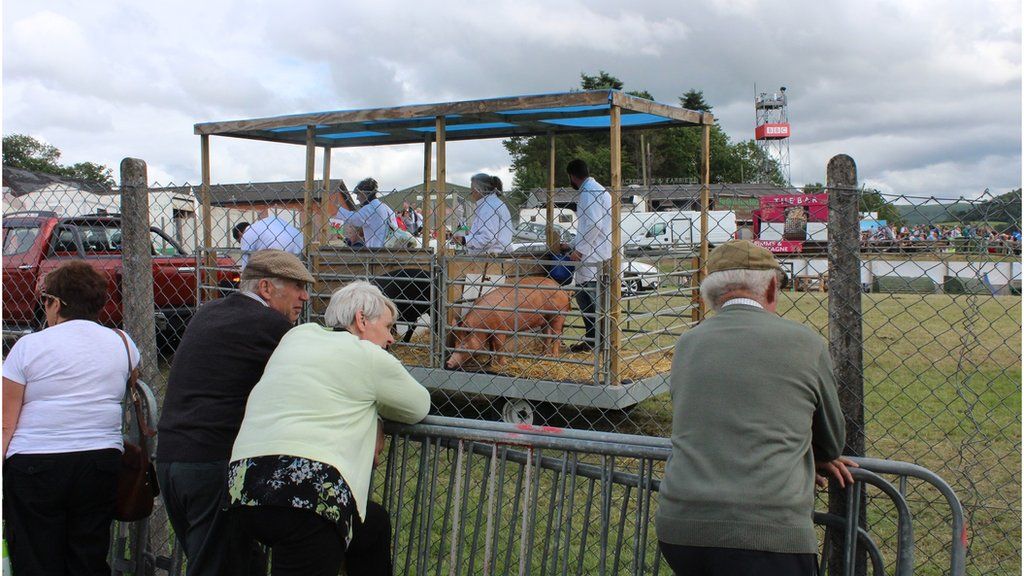 "Well i ni fynd adre cyn iddi hi fynd yn draed moch." // Another successful Royal Welsh Show comes to an end