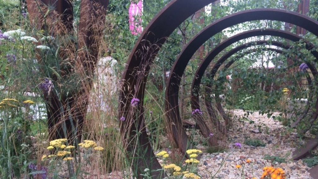 Bringing nature into your backyard