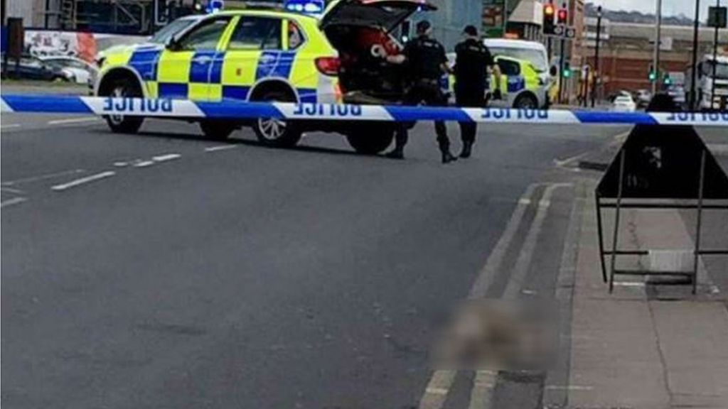 Man charged over Bolton park dog attack