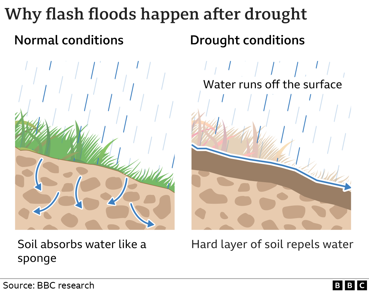 Graphic showing water run-off on drought-affected soils